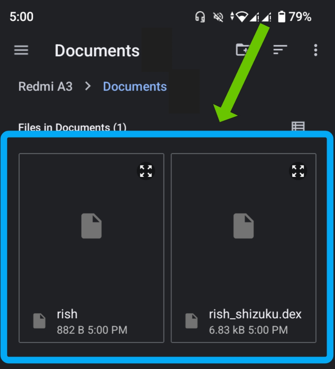 Exported files in Documents folder